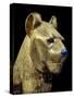 Head of a Funerary Couch in the Form of a Cheetah or Lion, Thebes, Egypt-Robert Harding-Stretched Canvas