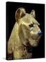 Head of a Funerary Couch in the Form of a Cheetah or Lion, Thebes, Egypt-Robert Harding-Stretched Canvas