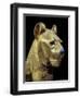 Head of a Funerary Couch in the Form of a Cheetah or Lion, Thebes, Egypt-Robert Harding-Framed Photographic Print