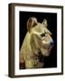 Head of a Funerary Couch in the Form of a Cheetah or Lion, Thebes, Egypt-Robert Harding-Framed Photographic Print