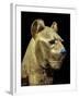 Head of a Funerary Couch in the Form of a Cheetah or Lion, Thebes, Egypt-Robert Harding-Framed Photographic Print