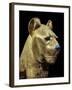 Head of a Funerary Couch in the Form of a Cheetah or Lion, Thebes, Egypt-Robert Harding-Framed Photographic Print