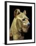 Head of a Funerary Couch in the Form of a Cheetah or Lion, Thebes, Egypt-Robert Harding-Framed Photographic Print