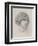 Head of a Girl (Pencil on Paper)-Walter John Knewstub-Framed Giclee Print