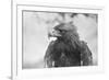 Head of a Golden Eagle-null-Framed Photographic Print