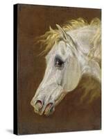 Head of a Grey Arabian Horse-Martin Theodore Ward-Stretched Canvas