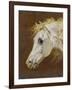 Head of a Grey Arabian Horse-Martin Theodore Ward-Framed Giclee Print