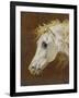 Head of a Grey Arabian Horse-Martin Theodore Ward-Framed Giclee Print