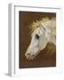 Head of a Grey Arabian Horse-Martin Theodore Ward-Framed Giclee Print