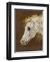 Head of a Grey Arabian Horse-Martin Theodore Ward-Framed Premium Giclee Print