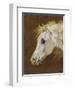 Head of a Grey Arabian Horse-Martin Theodore Ward-Framed Premium Giclee Print