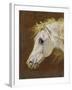 Head of a Grey Arabian Horse-Martin Theodore Ward-Framed Giclee Print