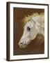 Head of a Grey Arabian Horse-Martin Theodore Ward-Framed Giclee Print