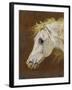 Head of a Grey Arabian Horse-Martin Theodore Ward-Framed Giclee Print