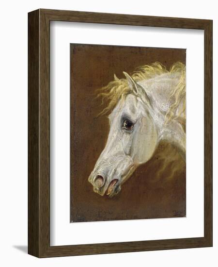 Head of a Grey Arabian Horse-Martin Theodore Ward-Framed Giclee Print