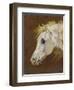 Head of a Grey Arabian Horse-Martin Theodore Ward-Framed Giclee Print