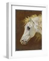 Head of a Grey Arabian Horse-Martin Theodore Ward-Framed Giclee Print