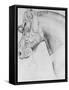 Head of a Horse-Antonio Pisani Pisanello-Framed Stretched Canvas