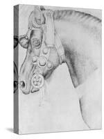 Head of a Horse-Antonio Pisani Pisanello-Stretched Canvas