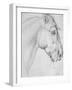 Head of a Horse-Antonio Pisani Pisanello-Framed Giclee Print