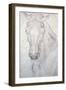 Head of a Horse-Antonio Pisani Pisanello-Framed Giclee Print