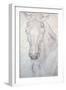 Head of a Horse-Antonio Pisani Pisanello-Framed Giclee Print