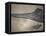 Head of a Jurassic Icthyosaur Fossil-Kevin Schafer-Framed Stretched Canvas