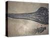 Head of a Jurassic Icthyosaur Fossil-Kevin Schafer-Stretched Canvas