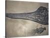 Head of a Jurassic Icthyosaur Fossil-Kevin Schafer-Stretched Canvas