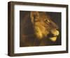 Head of a Lioness-Théodore Géricault-Framed Giclee Print
