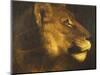 Head of a Lioness-Théodore Géricault-Mounted Giclee Print