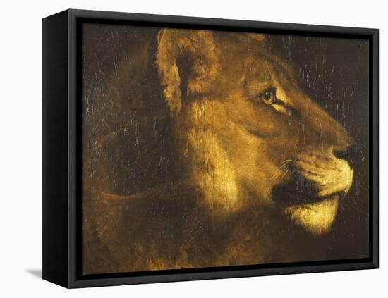Head of a Lioness-Théodore Géricault-Framed Stretched Canvas