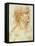 Head of a Man in Profile-Leonardo da Vinci-Framed Stretched Canvas