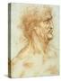 Head of a Man in Profile-Leonardo da Vinci-Stretched Canvas