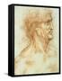 Head of a Man in Profile-Leonardo da Vinci-Framed Stretched Canvas