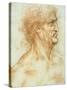 Head of a Man in Profile-Leonardo da Vinci-Stretched Canvas