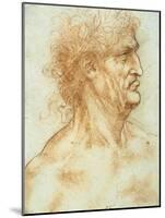 Head of a Man in Profile-Leonardo da Vinci-Mounted Giclee Print