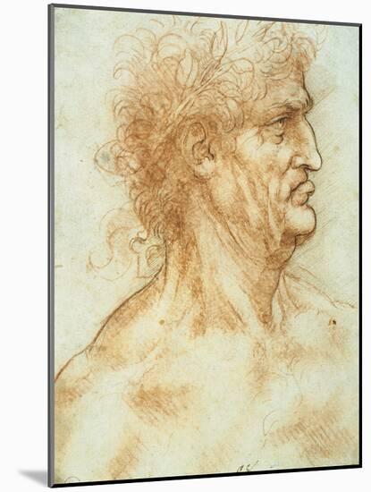 Head of a Man in Profile-Leonardo da Vinci-Mounted Giclee Print