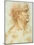 Head of a Man in Profile-Leonardo da Vinci-Mounted Giclee Print