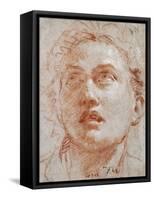 Head of a Man Looking Up-Giovanni Battista Tiepolo-Framed Stretched Canvas