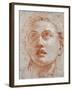 Head of a Man Looking Up-Giovanni Battista Tiepolo-Framed Giclee Print