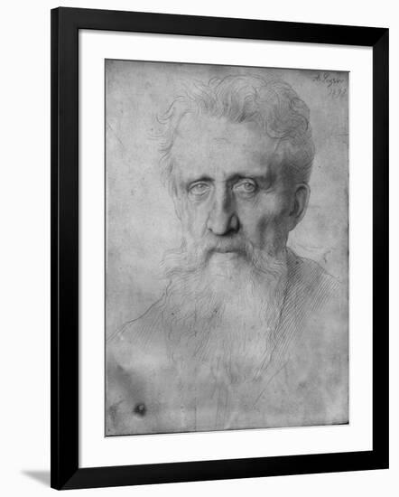 Head of a Man with Long Beard, 1898 (Silverpoint on White Cardboard)-Alphonse Legros-Framed Giclee Print