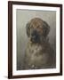 Head of a Newfoundland Dog, C. 1860-1920-Otto Eerelman-Framed Art Print