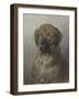 Head of a Newfoundland Dog, C. 1860-1920-Otto Eerelman-Framed Art Print