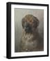 Head of a Newfoundland Dog, C. 1860-1920-Otto Eerelman-Framed Art Print