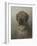 Head of a Newfoundland Dog, C. 1860-1920-Otto Eerelman-Framed Art Print