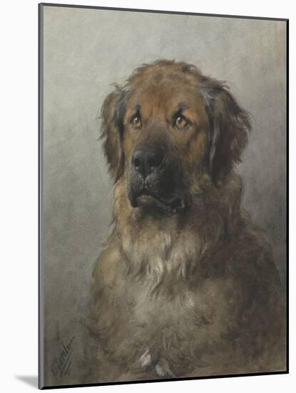 Head of a Newfoundland Dog, C. 1860-1920-Otto Eerelman-Mounted Art Print