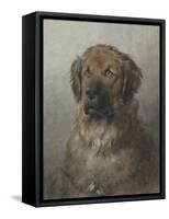 Head of a Newfoundland Dog, C. 1860-1920-Otto Eerelman-Framed Stretched Canvas