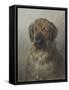 Head of a Newfoundland Dog, C. 1860-1920-Otto Eerelman-Framed Stretched Canvas