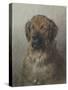 Head of a Newfoundland Dog, C. 1860-1920-Otto Eerelman-Stretched Canvas